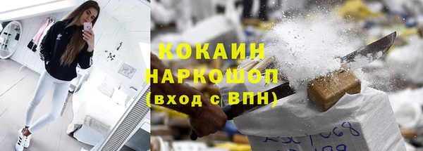 хмурый Алзамай