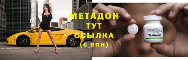 прущие грибы Ростов